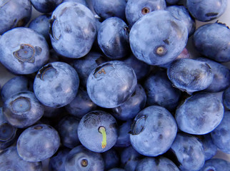 Fresh Blueberries