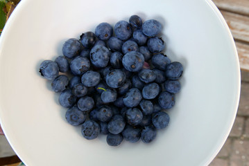 Fresh Blueberries