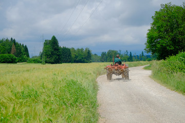 Tractor Driving on Rural Road