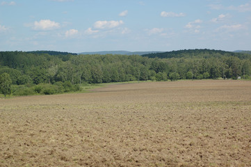 Fototapeta na wymiar Summer landscape, plowed field with forest in the background