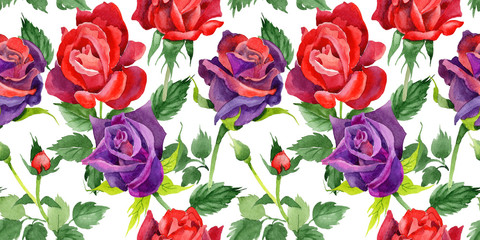 Wildflower rose flower pattern in a watercolor style. Full name of the plant: rose. Aquarelle wild flower for background, texture, wrapper pattern, frame or border.