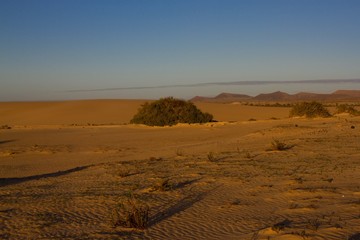 Fototapeta na wymiar Yellow sand on desert landscape. Panorama view. Fuerteventura, Canary islands