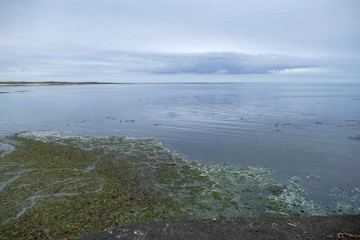 stony shore on gardur in iceland