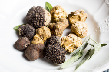 Group of delicacy white and black truffles