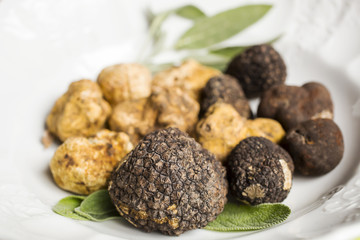 Group of delicacy white and black truffles
