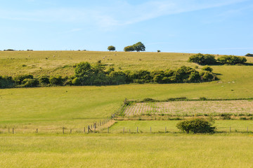 Obraz premium Farm Landscape