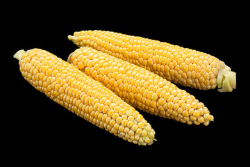 Raw sweet corn detail