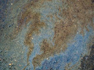 Oil stains in a puddle