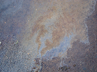 Oil stains in a puddle