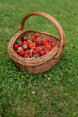 Fototapeta na wymiar sweet and soft strawberries