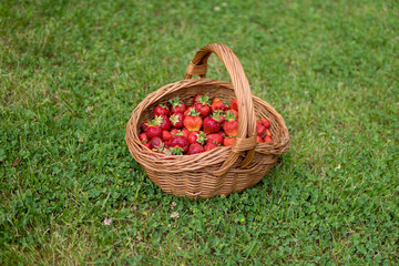 Fototapeta na wymiar sweet and soft strawberries