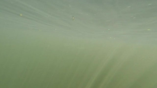 Auftauchen aus dem Kemnader See