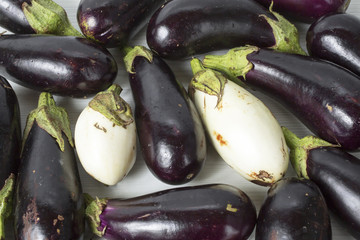 blue and white eggplant