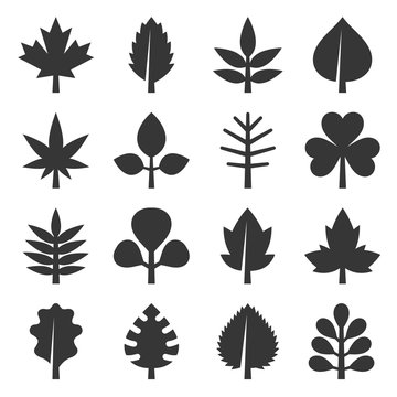 Leaf icons set on White Background. Vector
