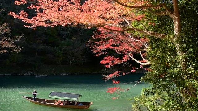 Colorful autumn foliage, Arashiyama area, Kyoto, Japan.