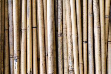 Drty dry bamboo pole background