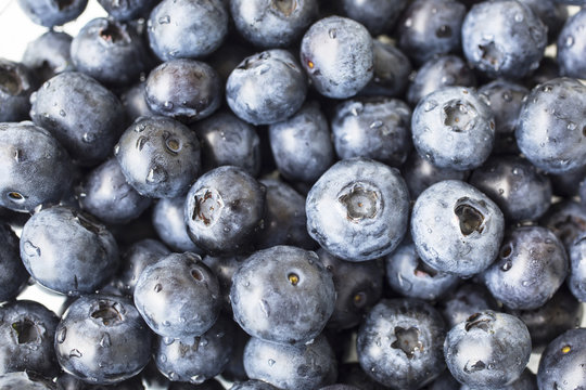 blueberries background