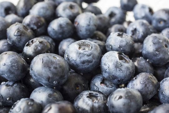 blueberries background