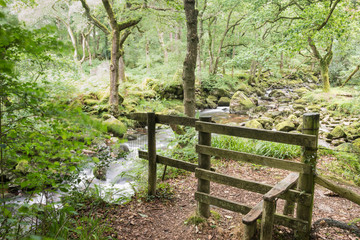 Stile in the woodland