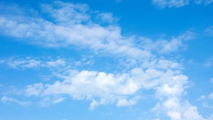 夏の雲
