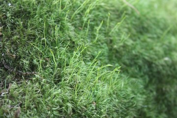 Other planet, Turgoyak lake, Island of faith, Chelyabinsk