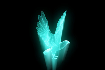 Eagle in Hologram Wireframe Style. Nice 3D Rendering
- 164933477