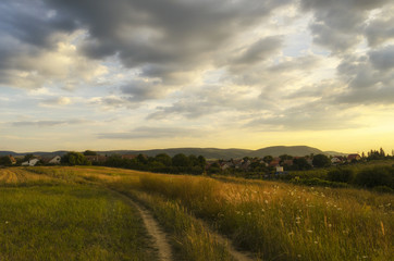 scenic road in summer outdoor in nature. summer walk in nature