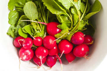 Fresh red radish isolated on white background