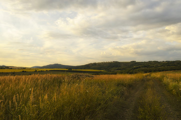 scenic road in summer outdoor in nature. summer walk in nature