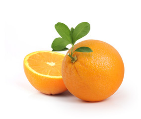  orange on white background