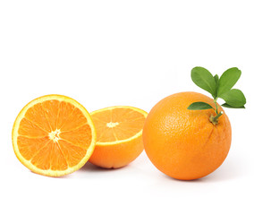  orange on white background