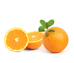  orange on white background