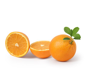  orange on white background