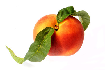 Peach with leaf isolated on white
