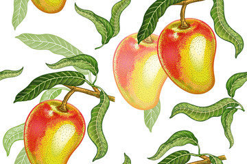 Vintage seamless pattern with mango.