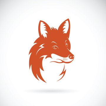Vector of a fox head on white background, Wild Animals.