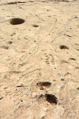 Ancient dot carvings at Jebel Jassassiyeh site in Northern Qatar.