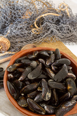 moules