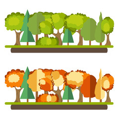 Green forest, autumn forest, leaves