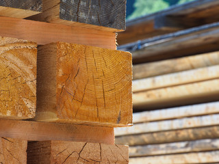 Holz