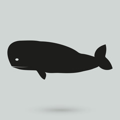 whale icon
