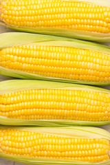 Closeup of Fresh corn on cobs on wooden table.