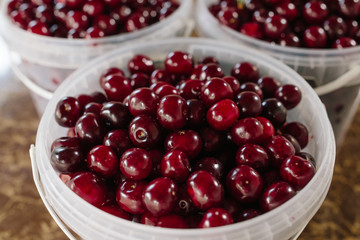 bucket of cherry when i went to cherry farm