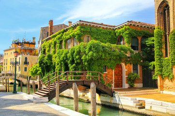Houses covered with ivy along narrow canal with bridges in Venice, Italy.
