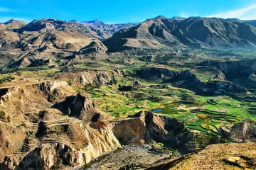 Cercles muraux Canyon Terrasses en escalier dans le Canyon de Colca au Pérou