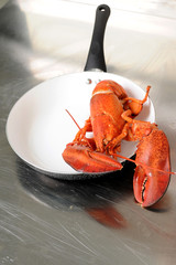 Cooked European common lobster