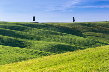SAN QUIRICO D'ORCIA, TUSCANY ITALY with rolling hills and tuscan cypress trees. Located in Val D'Orcia countryside.