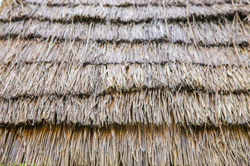 Grass roof
