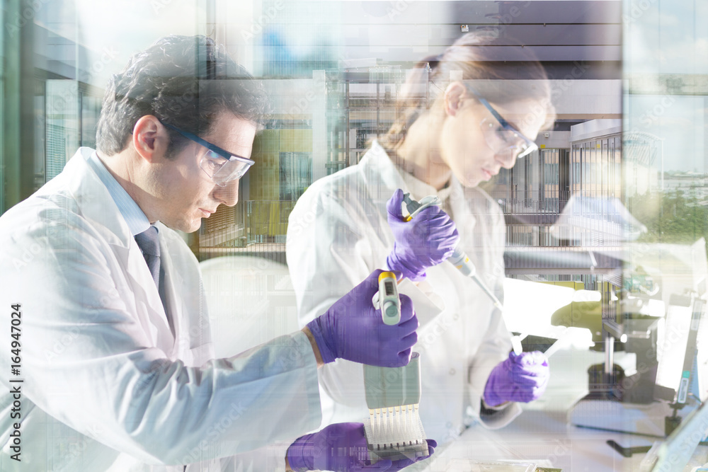 Aufkleber life scientist researching in laboratory. focused life science professionals pipetting master mix so