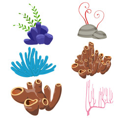 Underwater flora and fauna.
